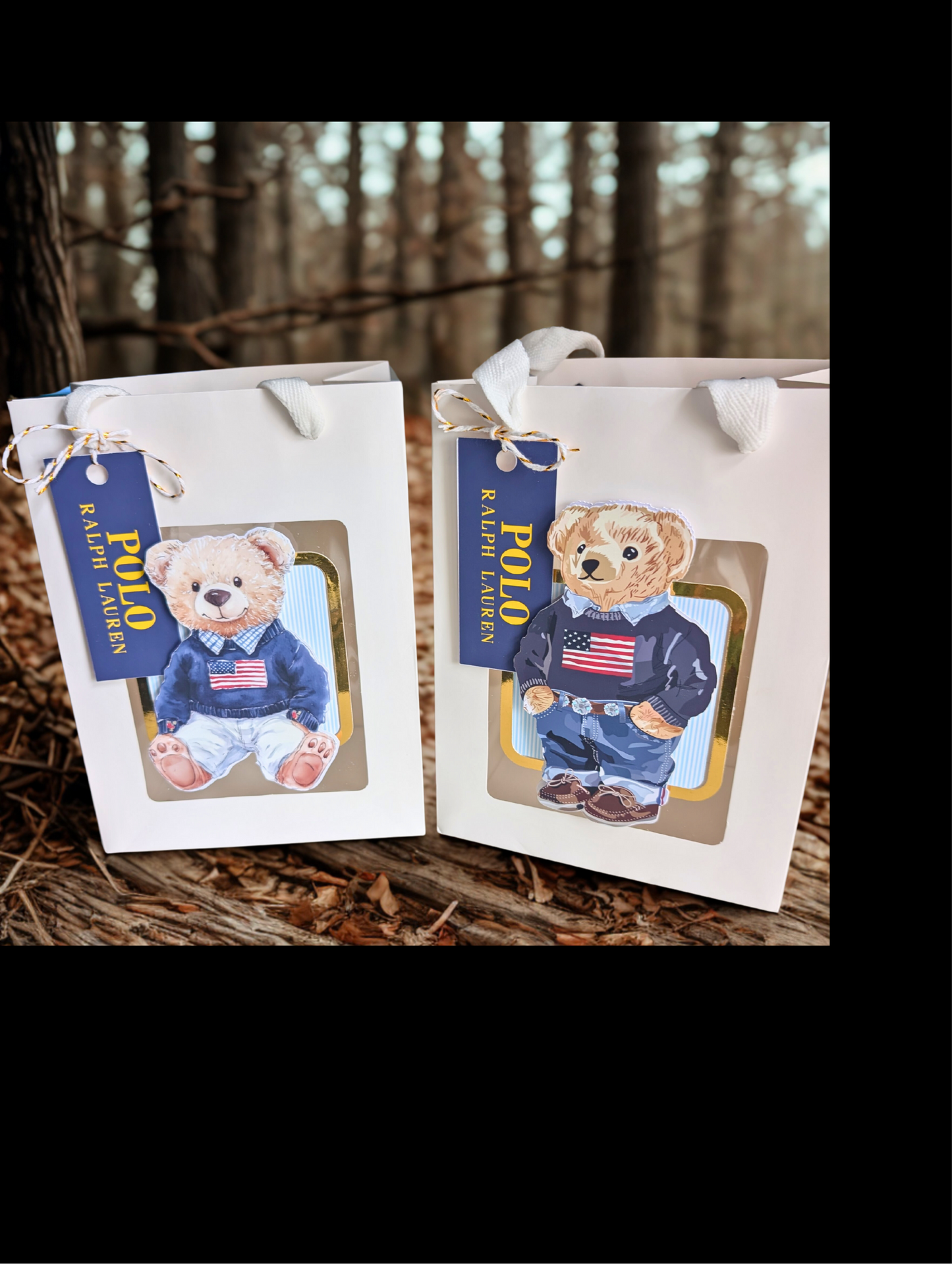 Polo Inspired Gift Bag/Party Favor (choice of bear) 8'H x6"Wx 4"D